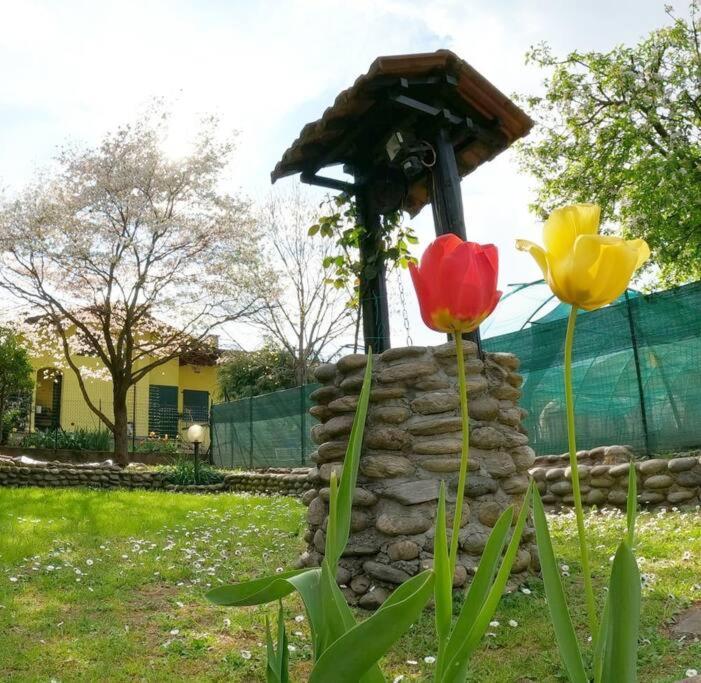 Il Vecchio Kiwi - House With Private Garden Villa Oleggio Castello Exterior photo